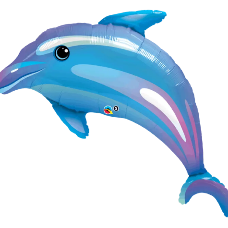 Delightful Dolphin