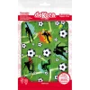 Fotball