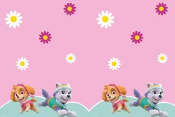 Paw Patrol - Skye And Everest