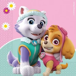 Paw Patrol - Skye And Everest