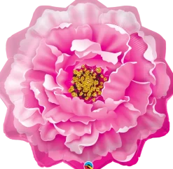 Pink Peony (Rosa Peon)
