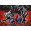 Spiderman - World of Webs